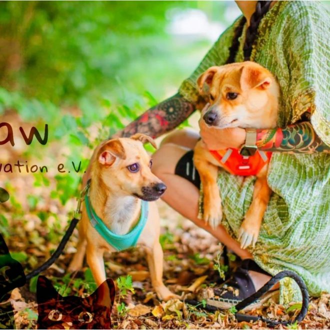 PAW Salvation e.V. (Wer sind wir?)