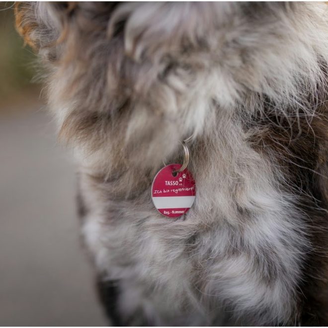 Wir sind Mitglied der Europäischen Tierschutzallianz Tasso ♥️