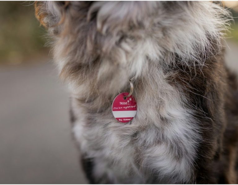 Wir sind Mitglied der Europäischen Tierschutzallianz Tasso ♥️