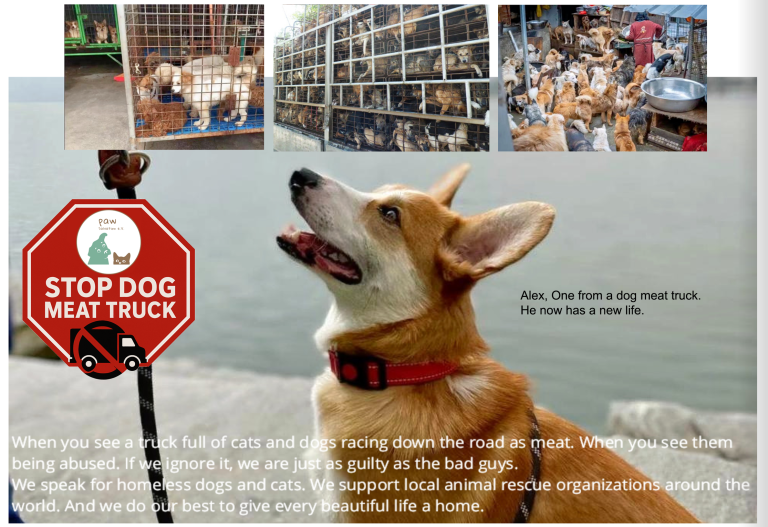 🚫 Initiative „Stop the Cruel Transport“